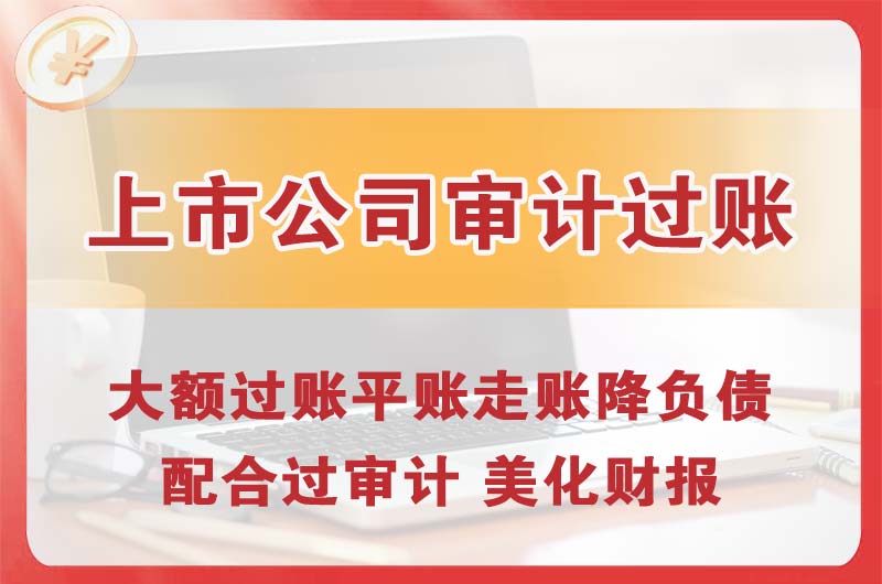 麻章上市公司审计过账